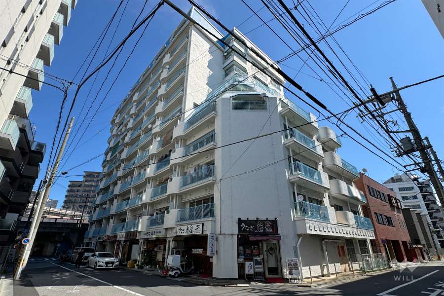 フドウ西川口ハイツの外観（南西側から）