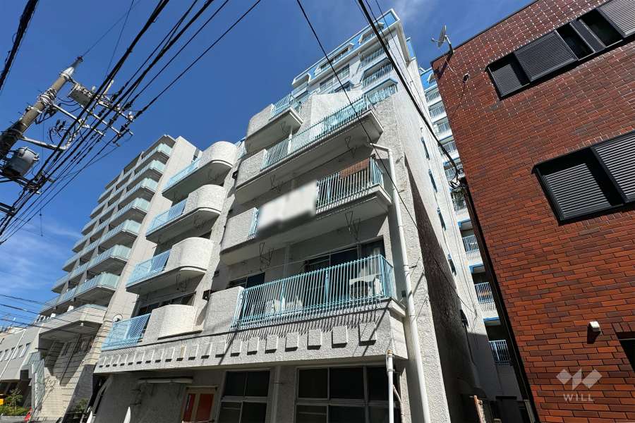 フドウ西川口ハイツの外観（南東側から）