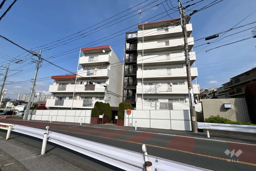 サンライフ根岸の外観（西側から）