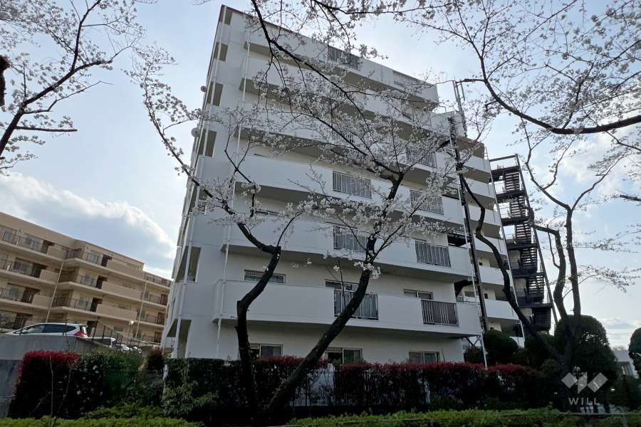 サンライフ根岸の外観（東側から）