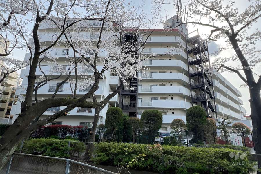 サンライフ根岸の外観（北側から）