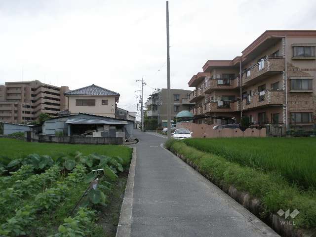 マンション南側の前面道路。周辺は田畑が多いのどかな住宅地です。