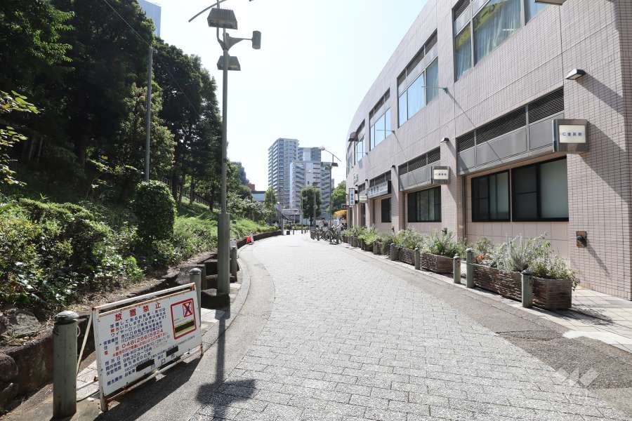 敷地東側の前面道路　