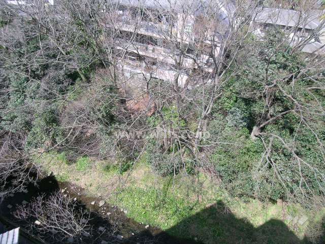 川沿いは木々が茂り緑豊か。川に面してウッドデッキがあります。