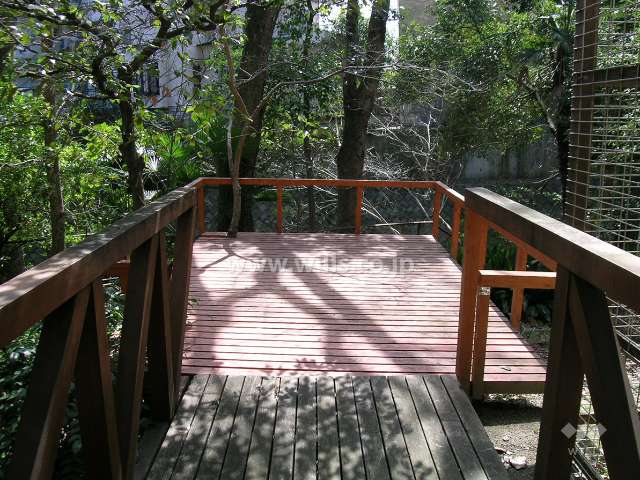 箕面川に面するウッドデッキ