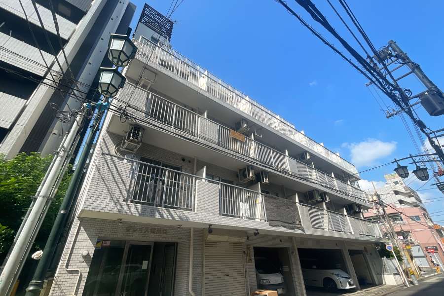 グレイス西川口の外観（北東側から）