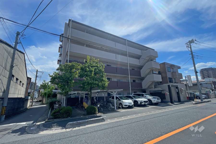 コスモ川口並木元町の外観（北東側から）