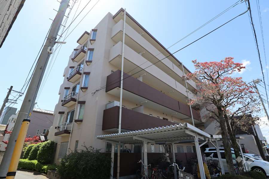 コスモ川口並木元町の外観（北東側から）　　