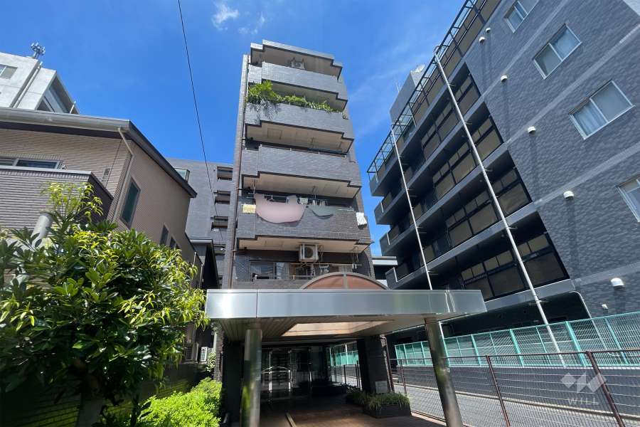 モンシャトー川口の外観（南西側から）