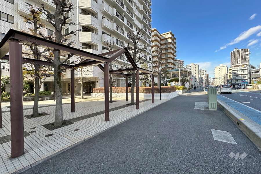 敷地の東側前面道路（南側から）