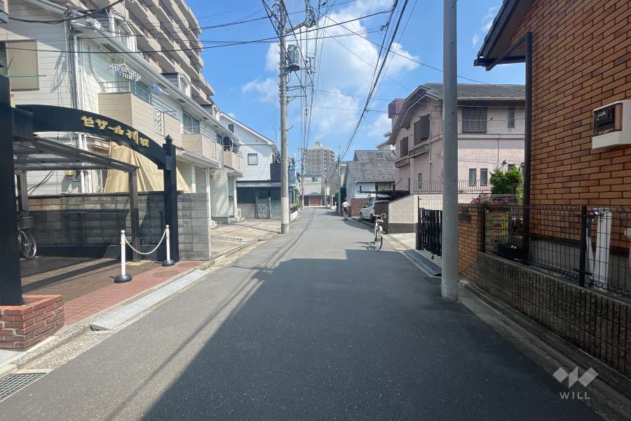 敷地の南側前面道路（西側から）