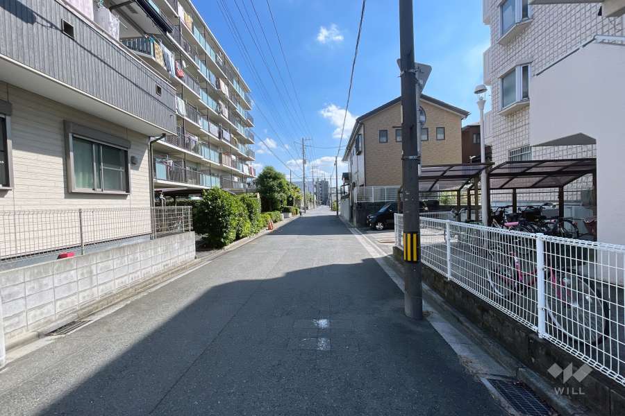 敷地の北側前面道路（西側から）