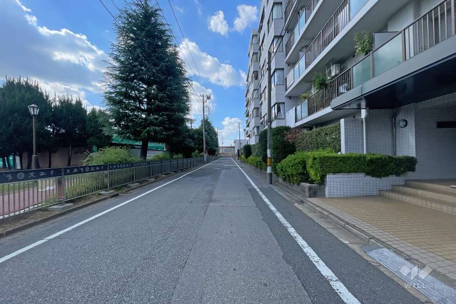 敷地南側の前面道路（東側から）