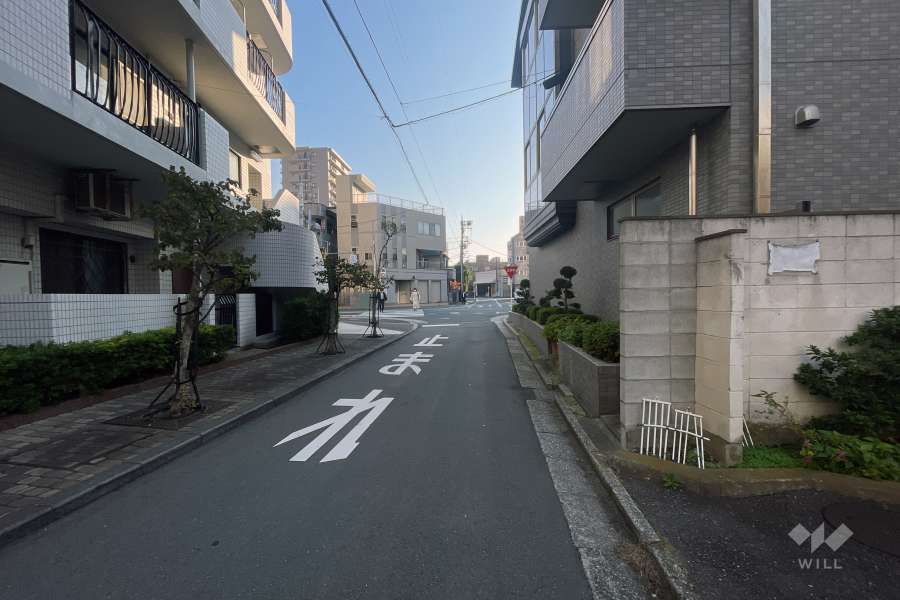 敷地の南側前面道路（西側から）