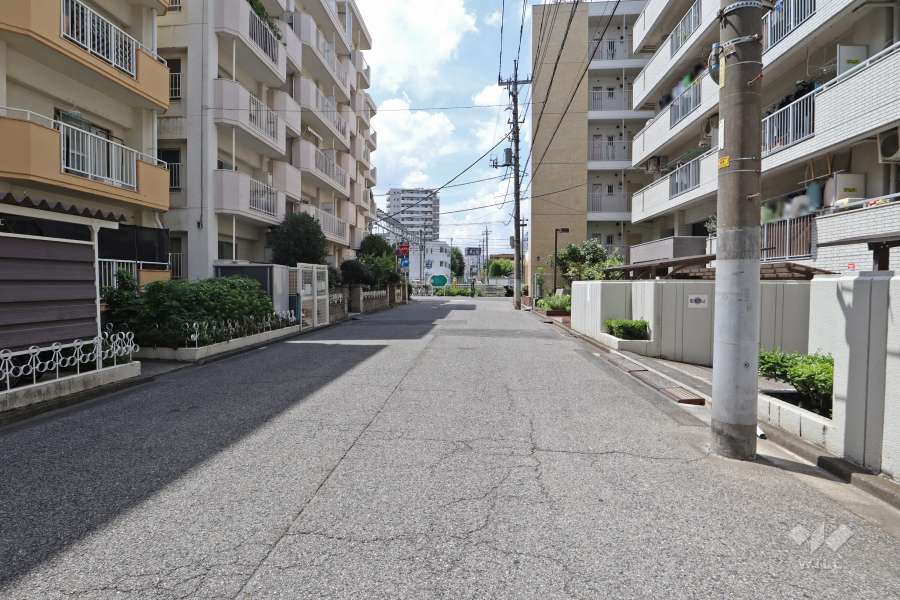 敷地南東側の前面道路（北東側から）