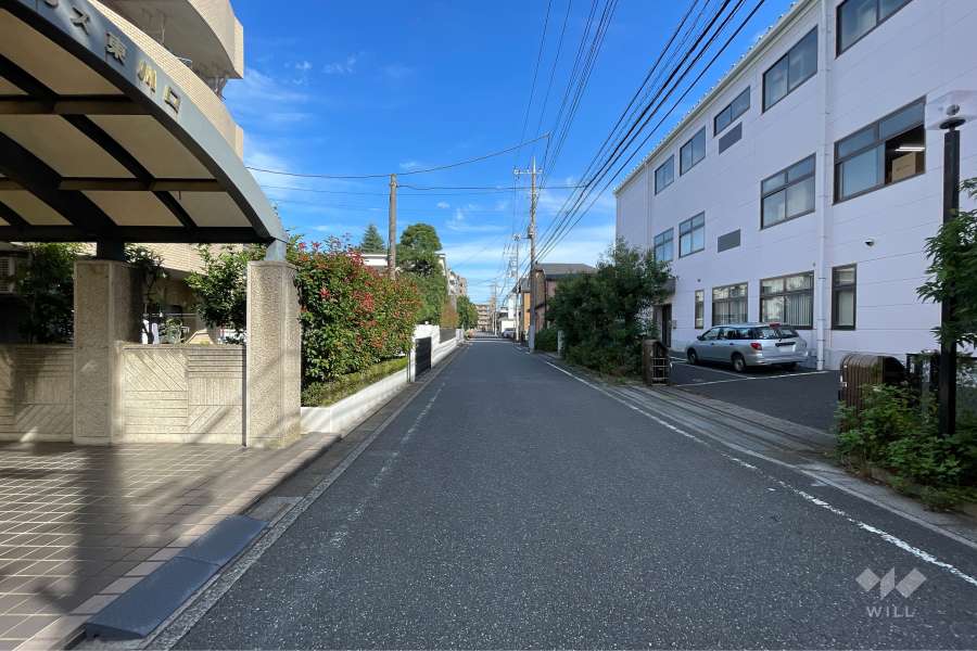 敷地の南側前面道路（西側から）