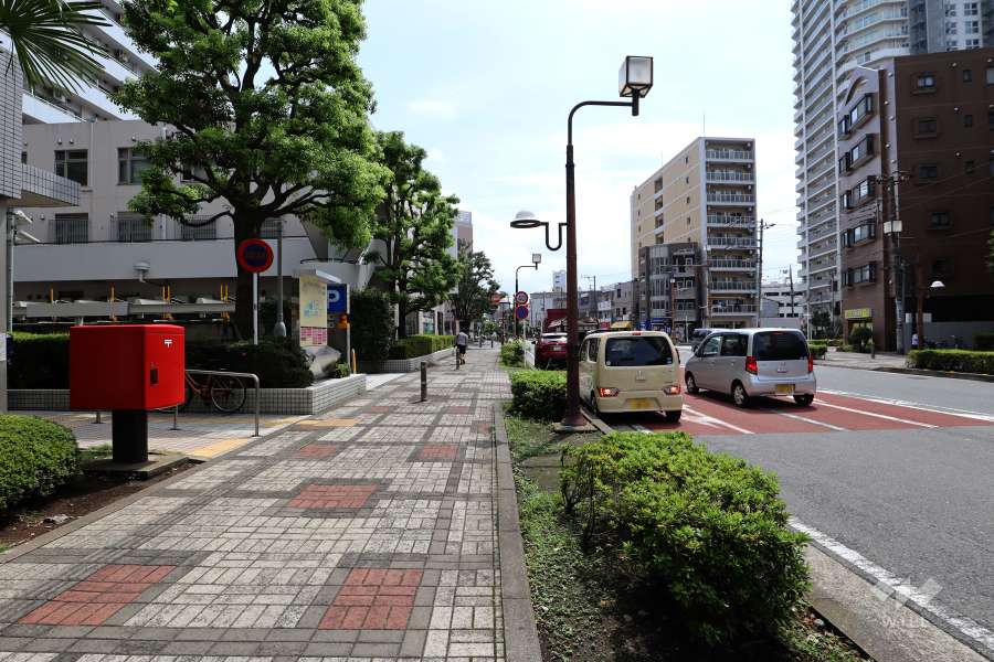 敷地西側の前面道路（北側から）