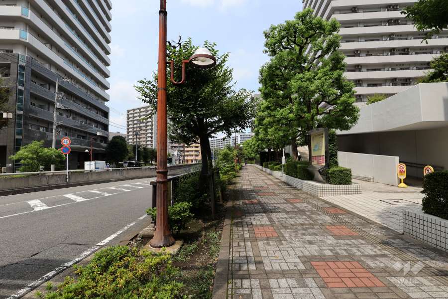 敷地西側の前面道路（南側から）