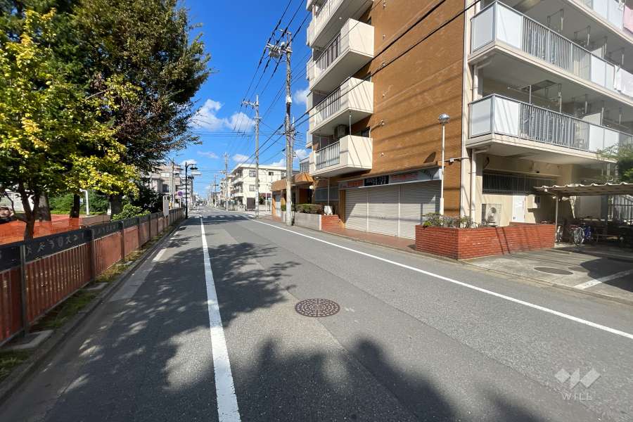 敷地西側の前面道路