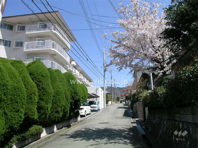 生け垣が多く、緑豊かな印象です。