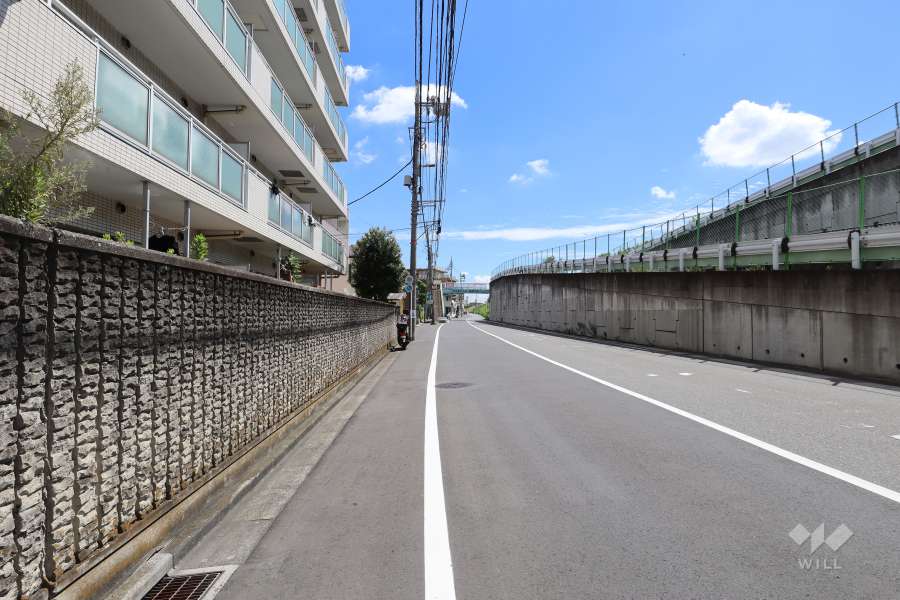 敷地の南側前面道路（西側から）
