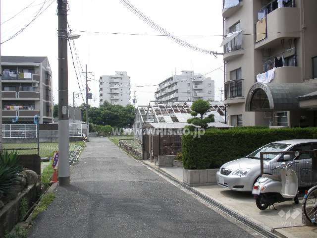 南側前面道路