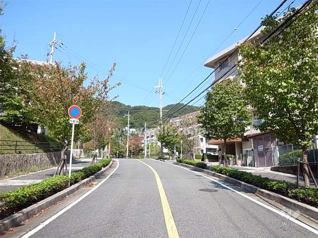 敷地西側の前面道路。街路樹のきれいなバス通りに面しています。