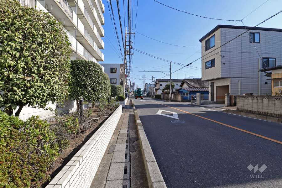 敷地南西側の前面道路（北西側から）