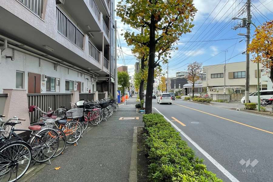 敷地北側の前面道路