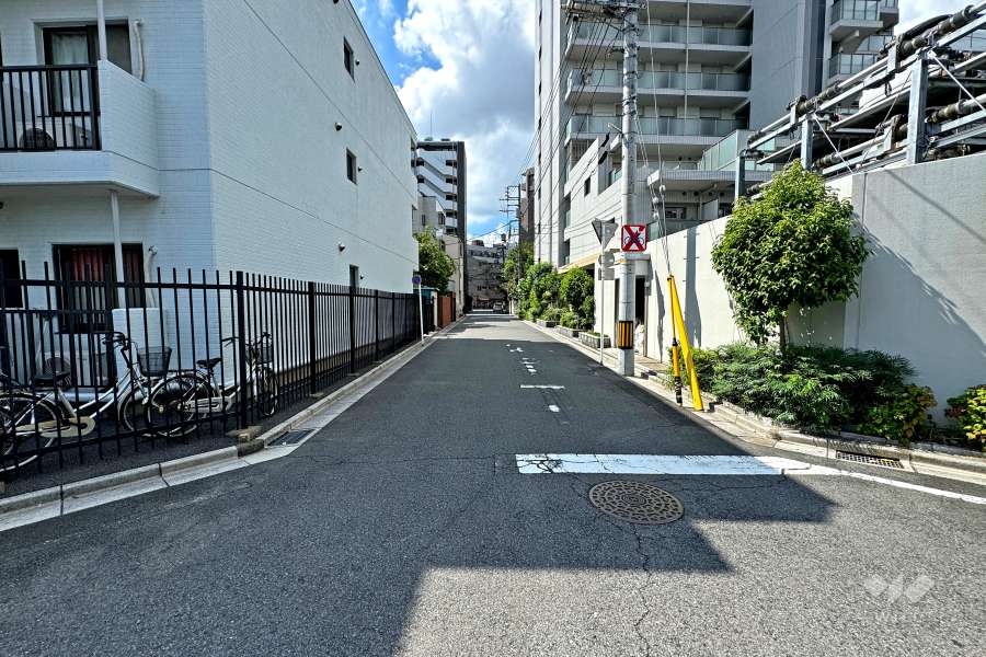 敷地の西側前面道路（北側から）