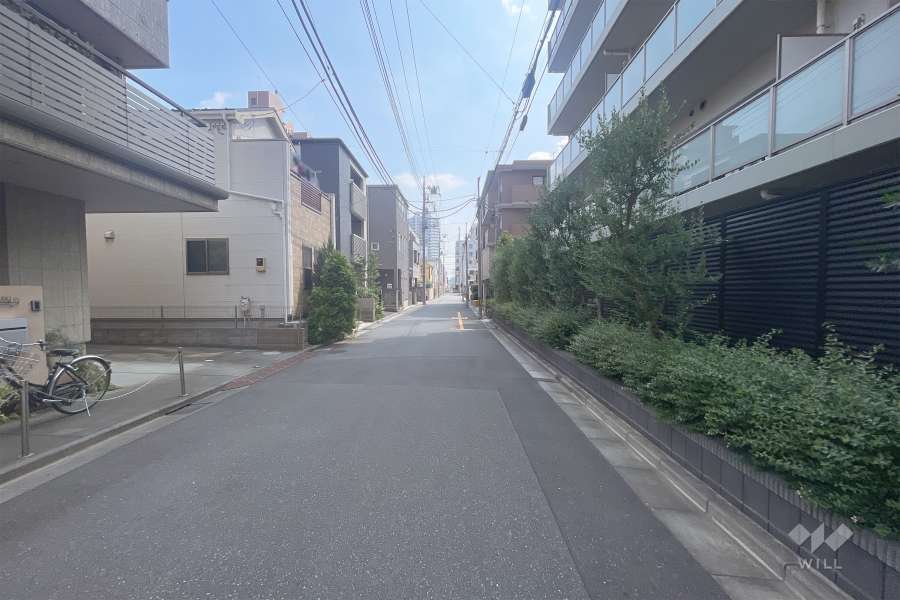 敷地東側の前面道路（北側から）