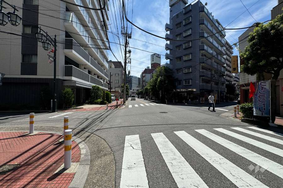 敷地の北東側前面道路（北西側から）