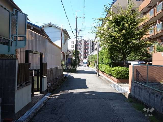 敷地南側の道路。敷地の南北両面が接道しています。