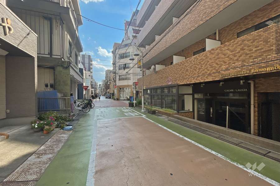 敷地南東側の前面道路（北東側から）