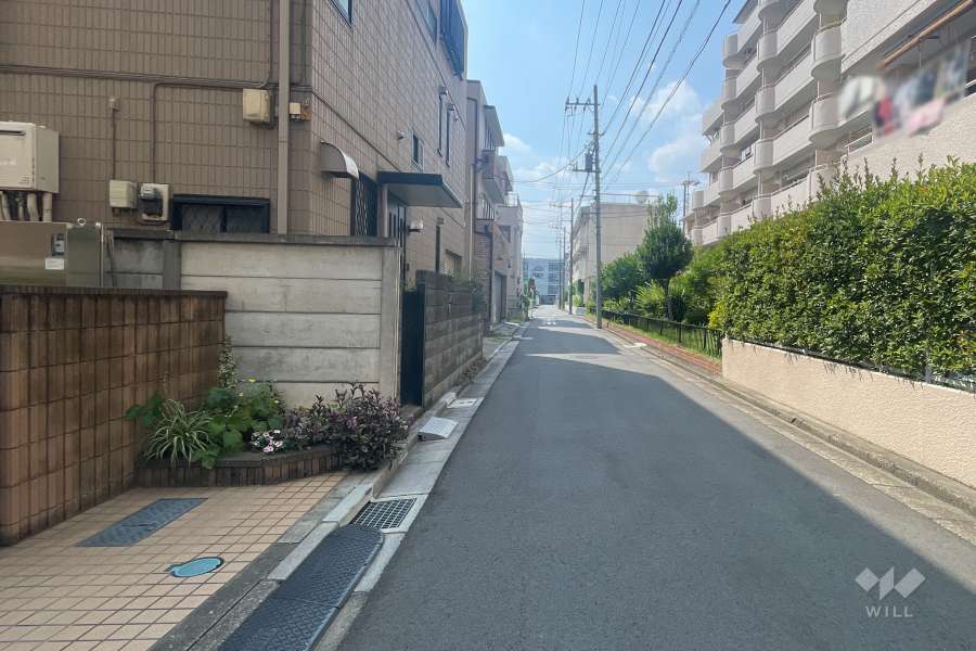 敷地の北側前面道路（西側から）