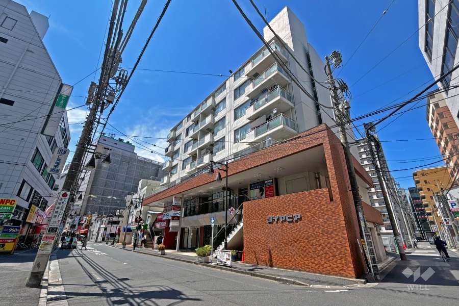 ダイヤピアの外観（北東側から）