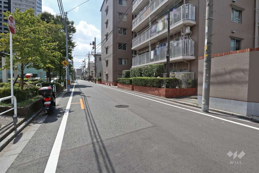 敷地東側の前面道路（北側から）