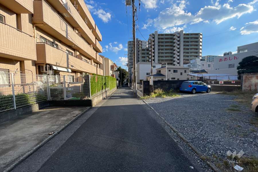 敷地の西側前面道路（北側から）
