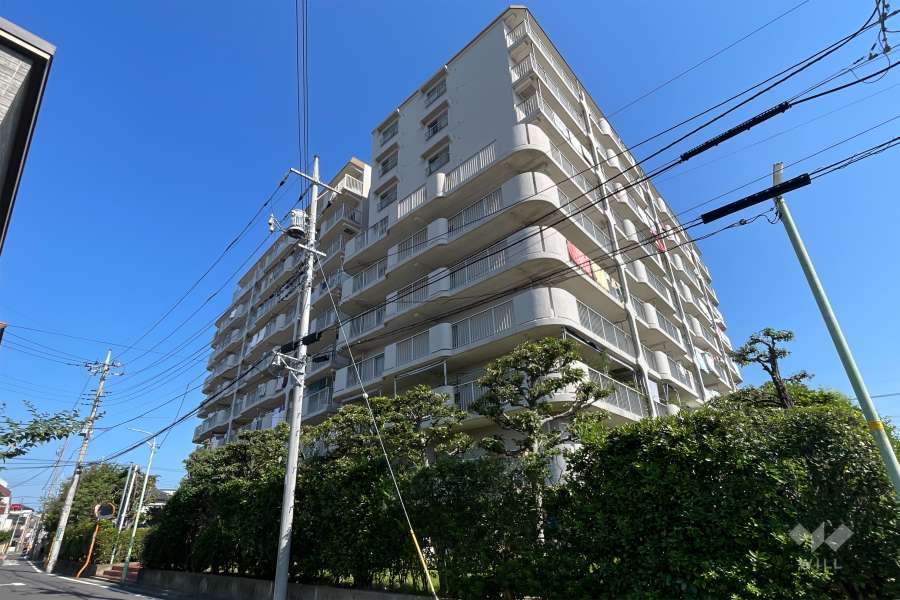 川口サンハイツの外観（南西側から）