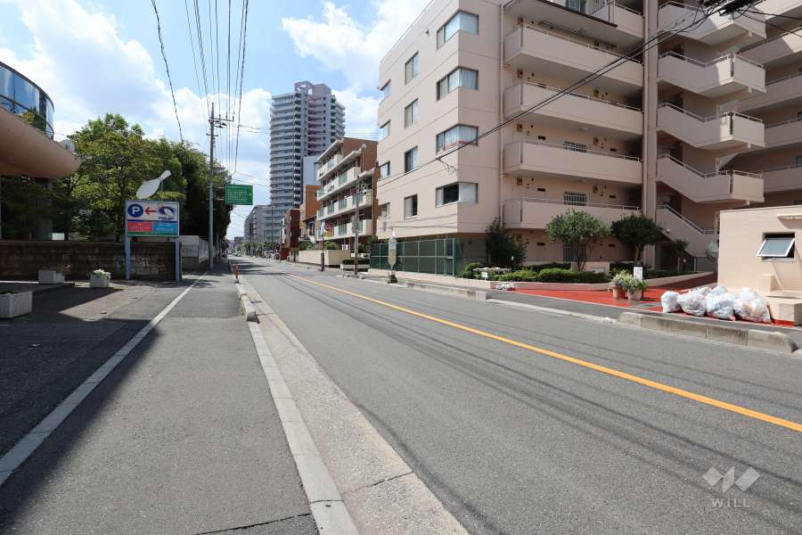 敷地東側の前面道路（北側から）