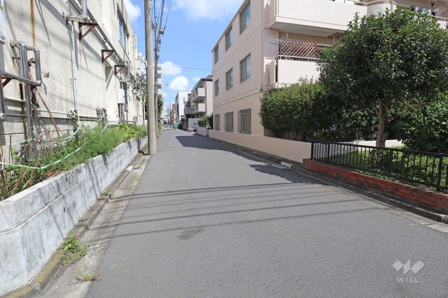 敷地西側の前面道路（南側から）