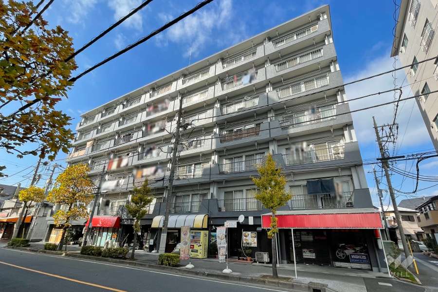 南浦和クイーンコーポＣ棟の外観（東側から）