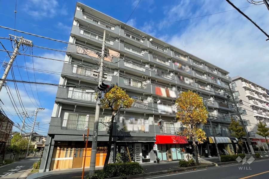 南浦和クイーンコーポＣ棟の外観（南西側から）