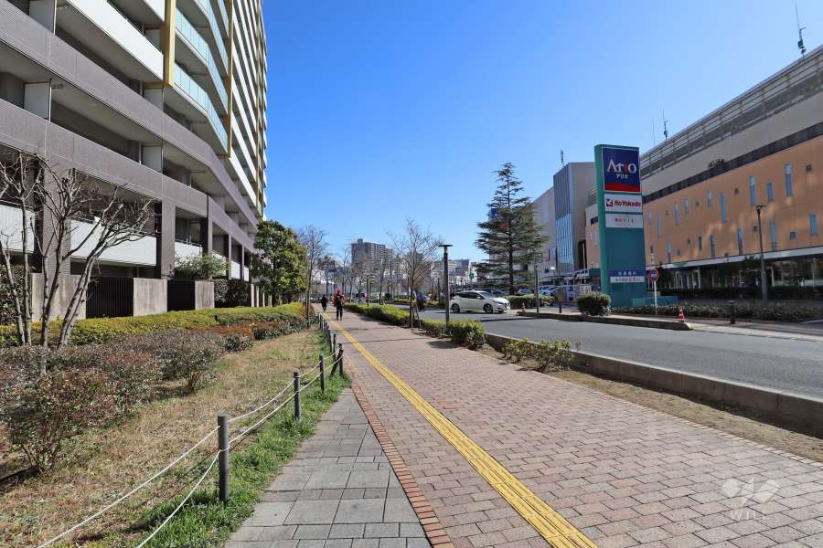 敷地南西側の前面道路（北西側から）