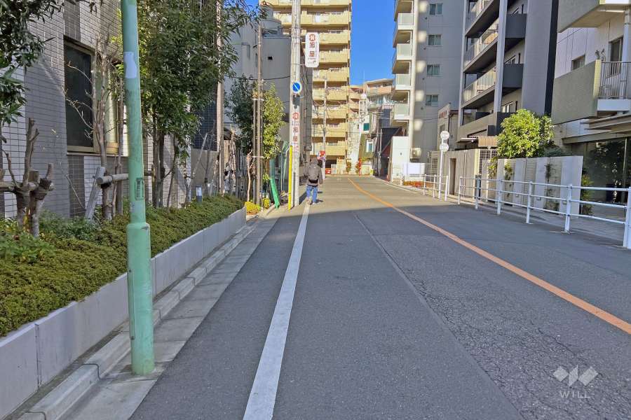 敷地の東側前面道路（南側から）