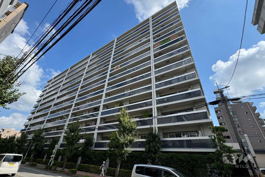 ライオンズ川口並木グランゲートの外観（南側から）