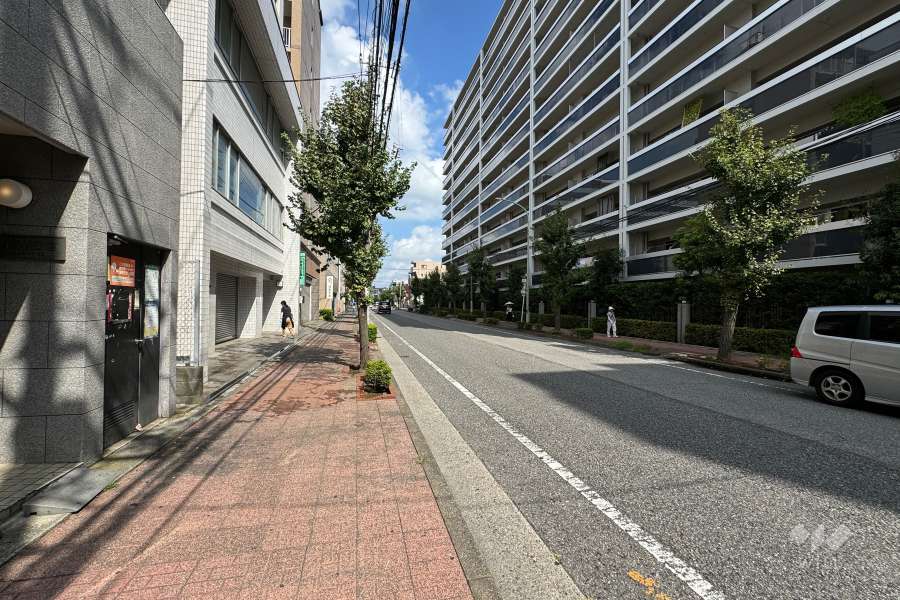 敷地の南西側前面道路（南東側から）