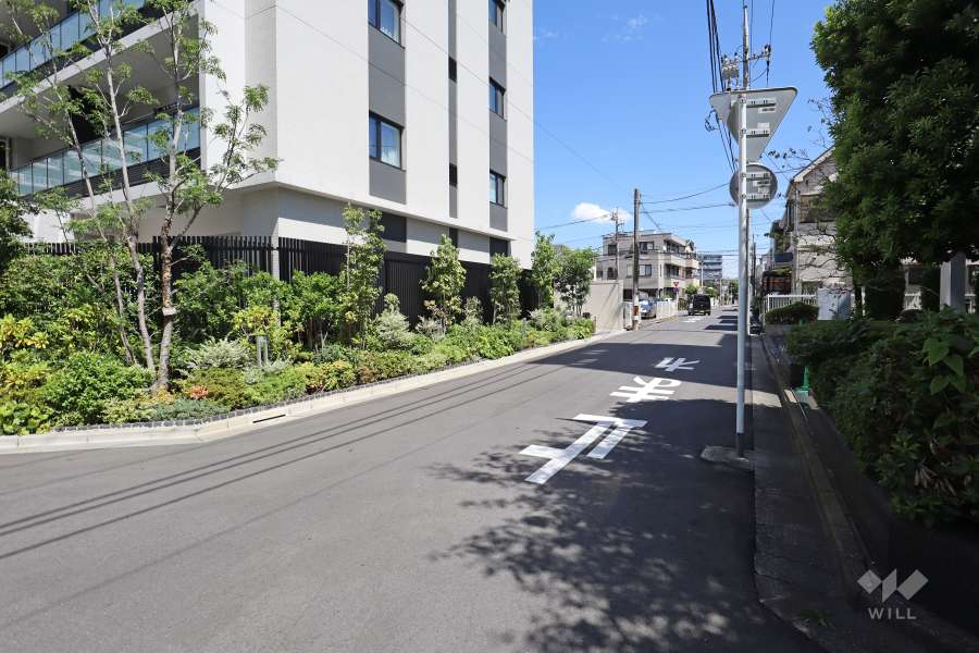 敷地南側の前面道路（西側から）