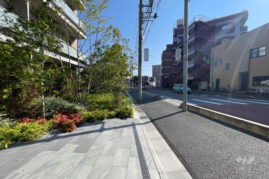 敷地の南側前面道路（西側から）