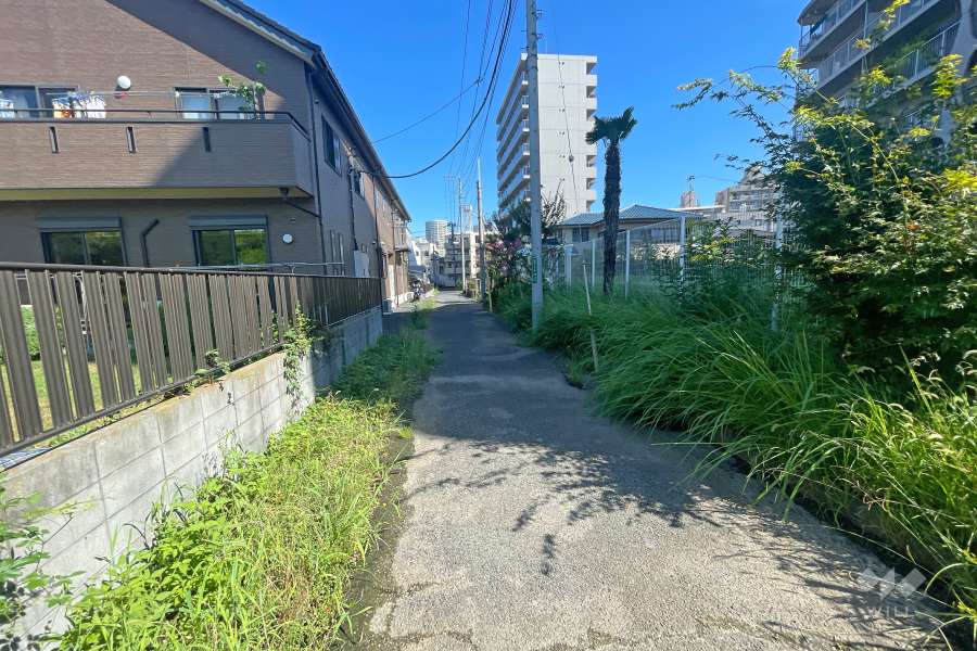 敷地西側の前面道路（南側から）